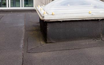 disadvantages of Scorrier flat roofs