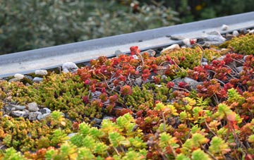 the cost of Scorrier green roof installation