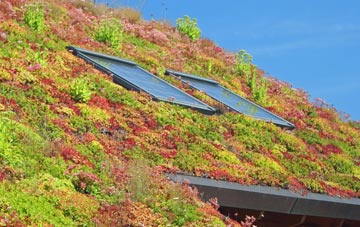 Scorrier living roof systems