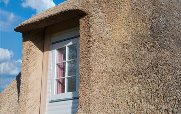 Scorrier thatch roof disadvantages