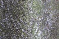 Scorrier fibreglass roof work